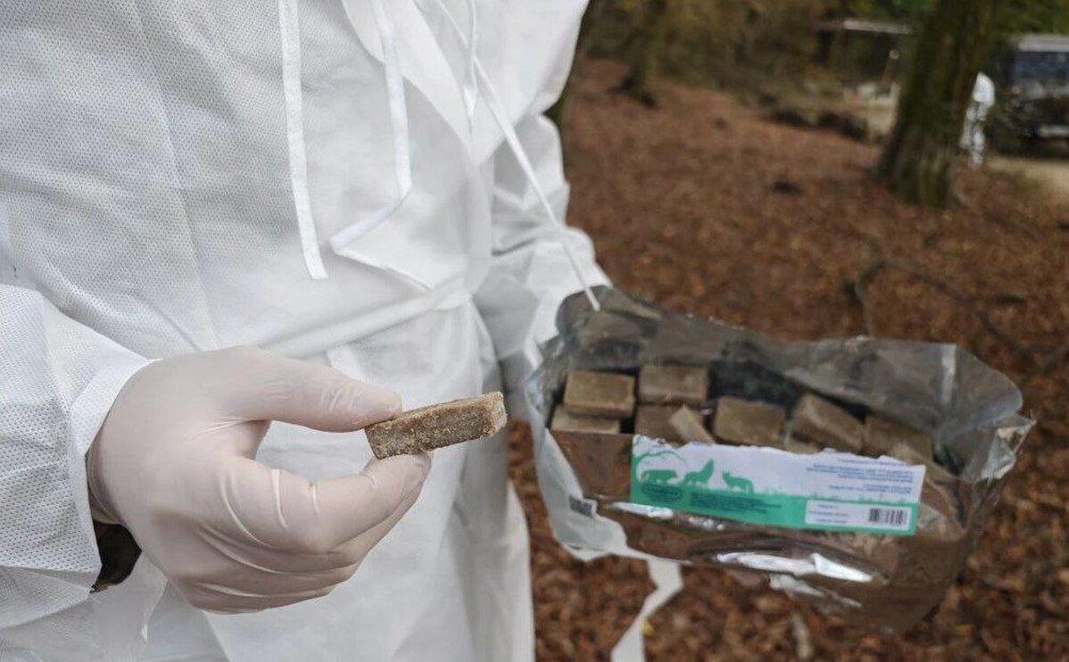    Фото t.me/officialsochi