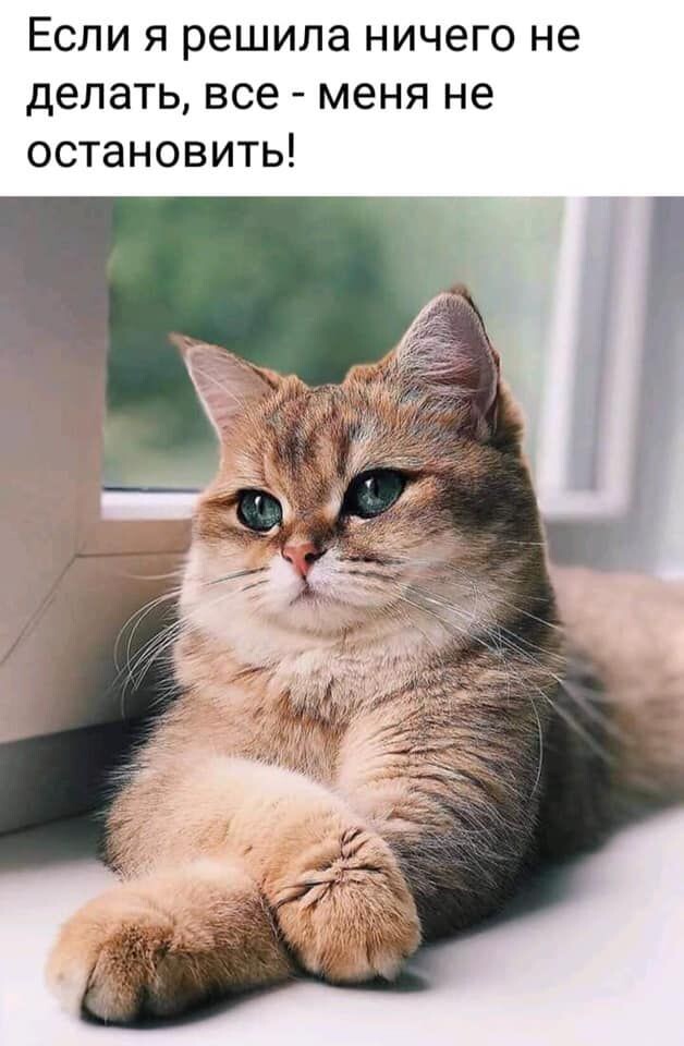 источник Яндекс-картинки