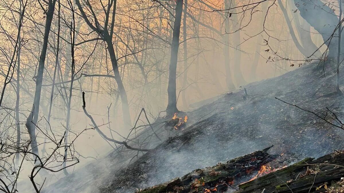 © Photo : press office of the Berd Municipality