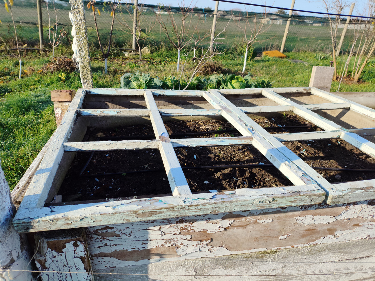 Две старые рамы