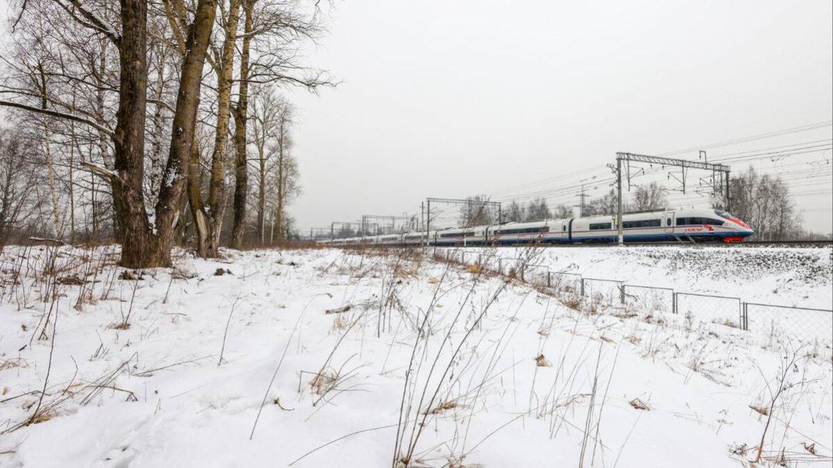    Фото: t.me/ozdrzd