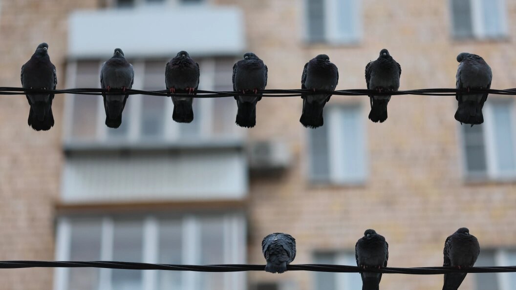    Belkin Alexey/news.ru/Globallookpress