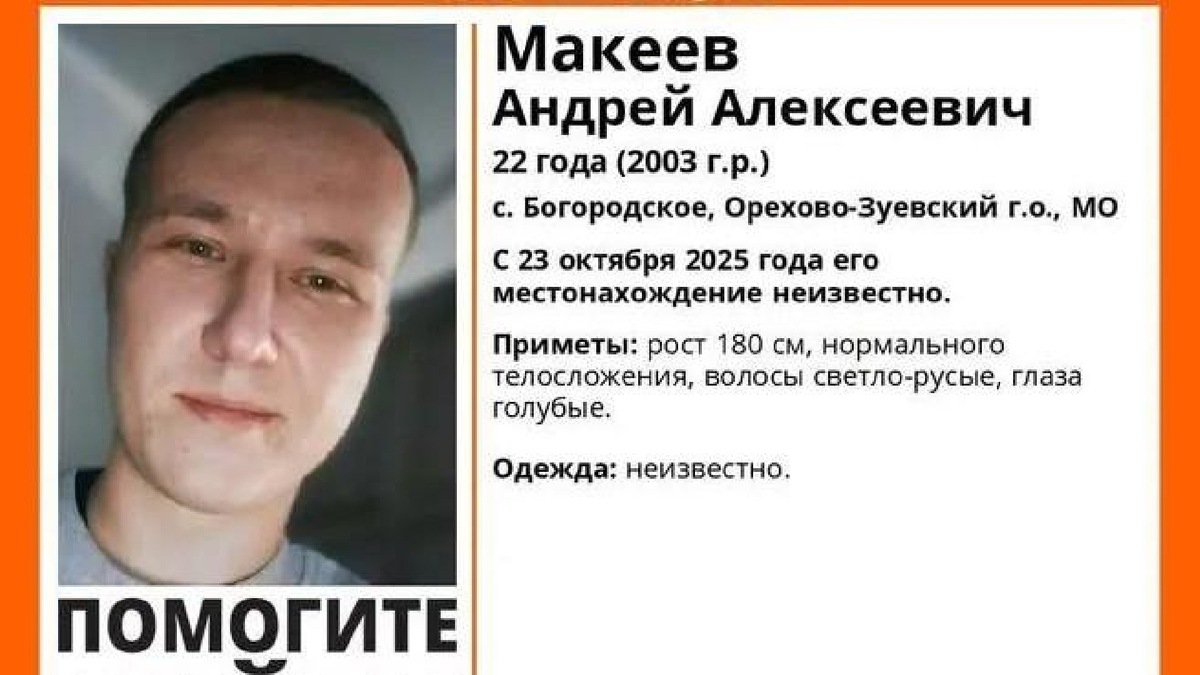    Ориентировка поисково-спасательного отряда «ЛизаАлерт»