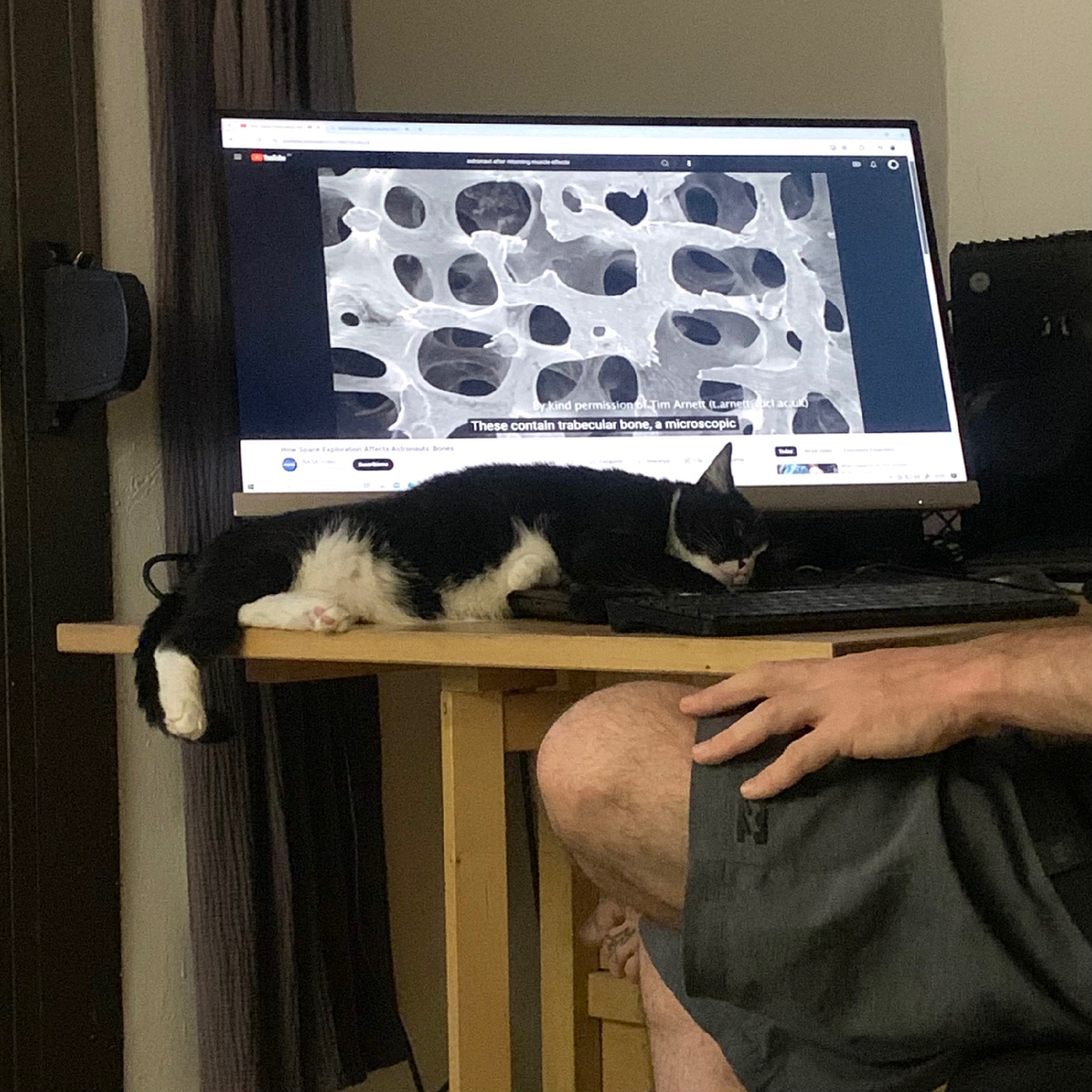 Это фото — метафора того года. Даже кот на столе понимал больше, чем казалось.