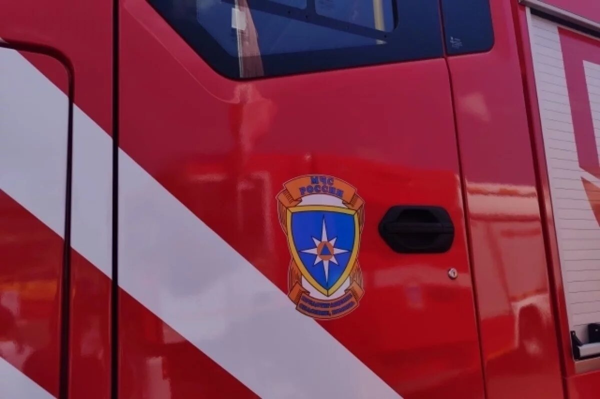    Девять человек погибли при пожарах в Псковской области с начала ноября