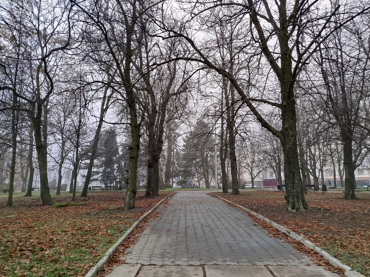 Одна из аллей сквера "Россия" (экс - Первомайский Сквер).