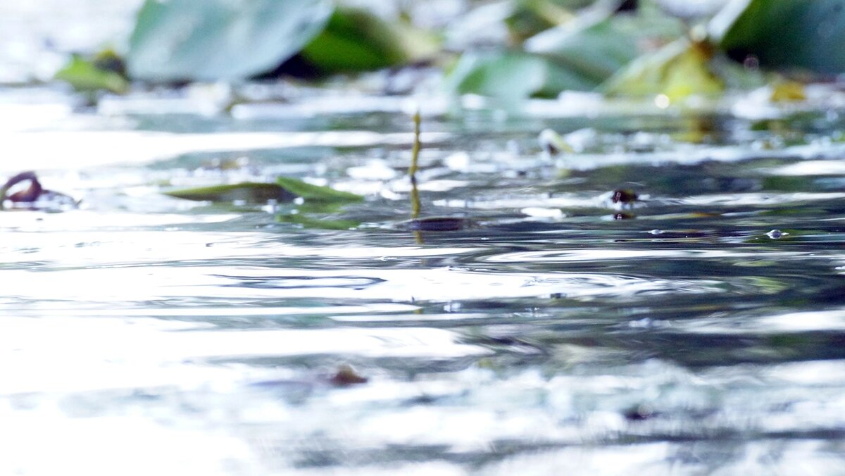    Фото: Сергей Егоров