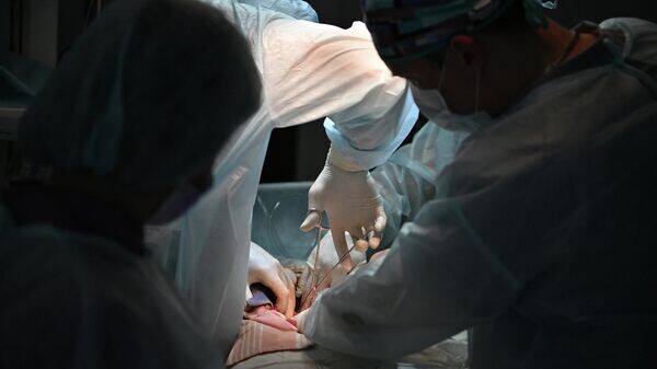    © Sputnik / Евгений Биятов