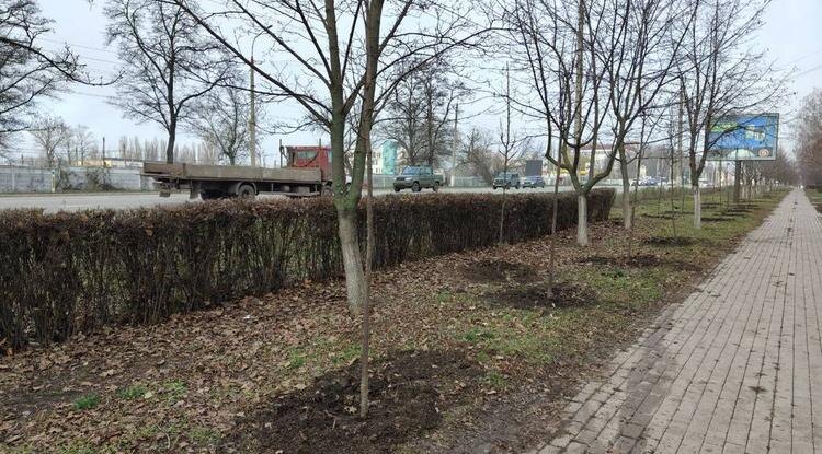 Фото: Маргарита Грачёва