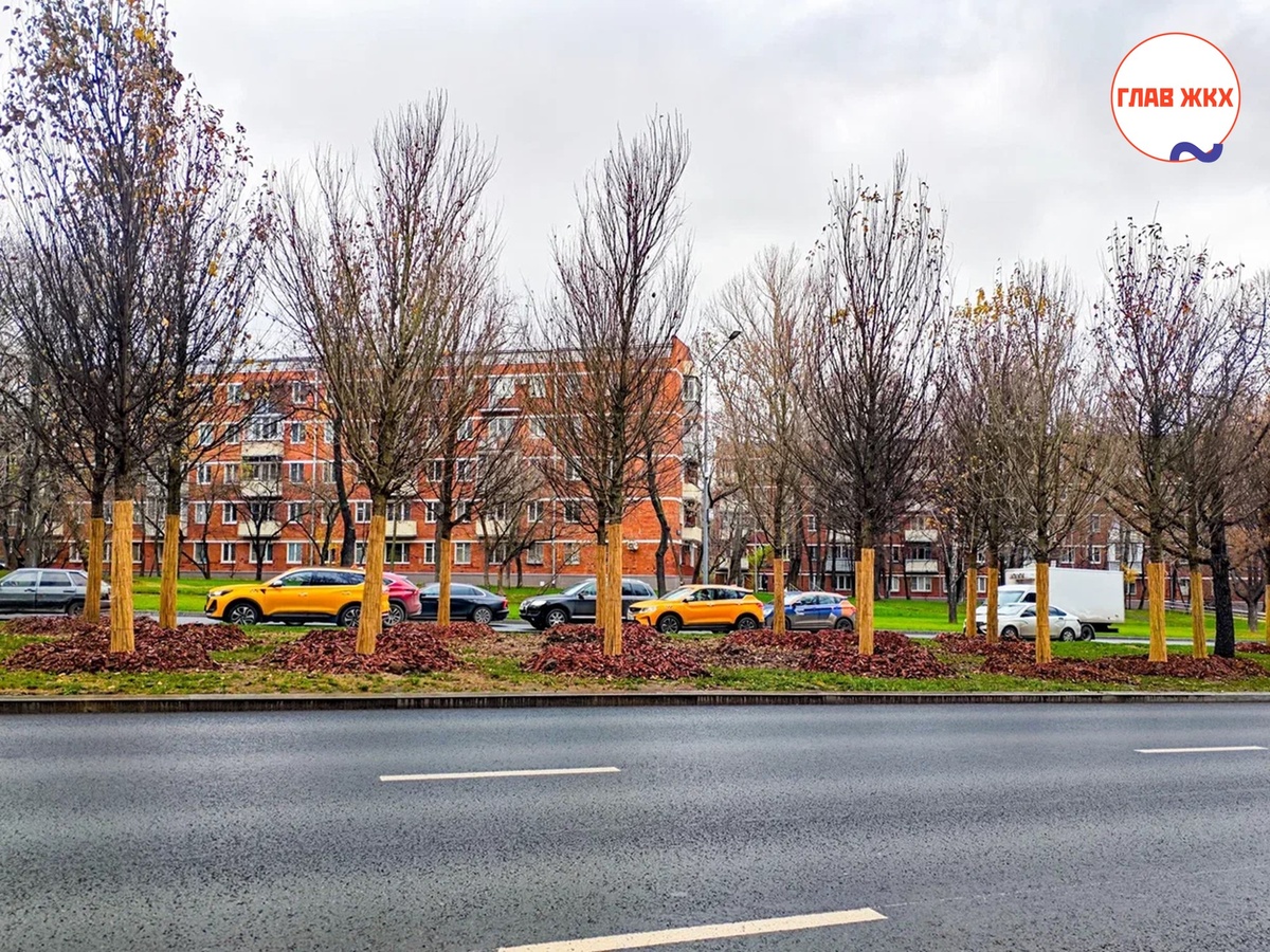 На Профсоюзной улице Москвы и проспекте 60-летия Октября высадят около 1,6 тыс. деревьев
