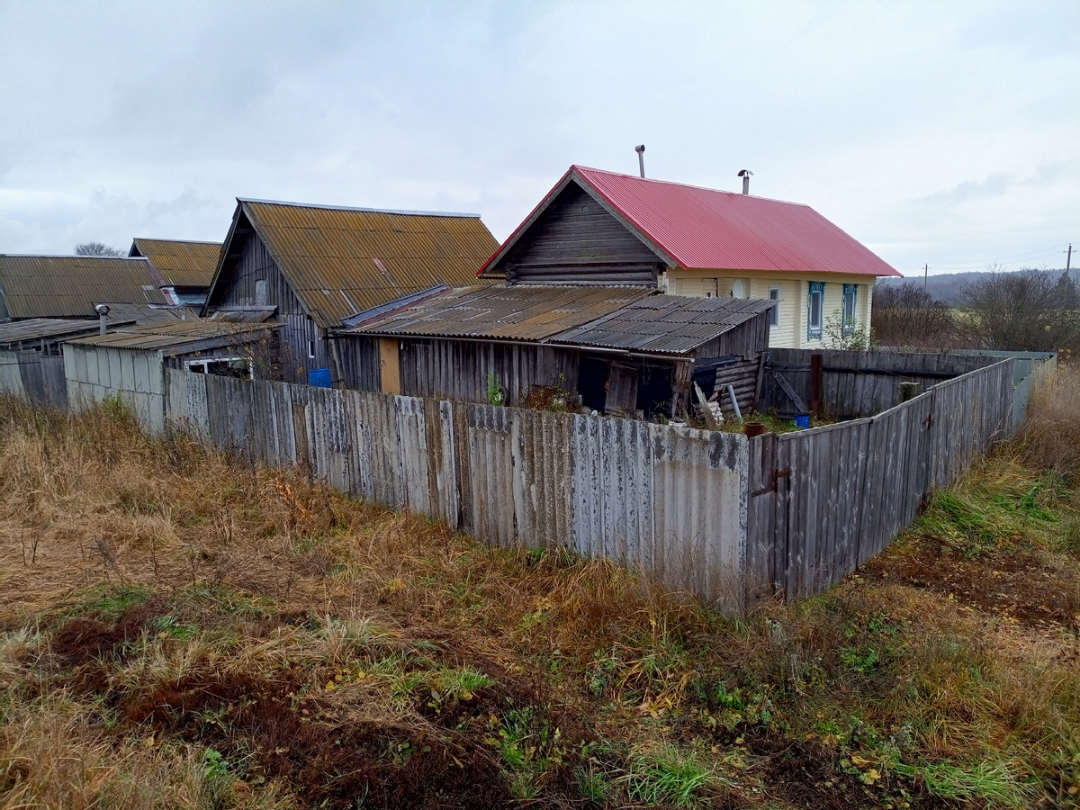 Подпольная майнинг-ферма, вид сзади.