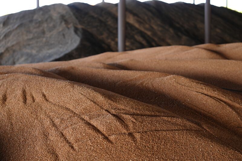     / Источник: © ИЗВЕСТИЯ/Эдуард Корниенко