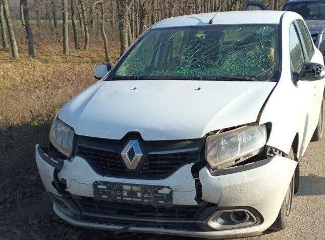    Фото: социальные сети Вячеслава Гладкова