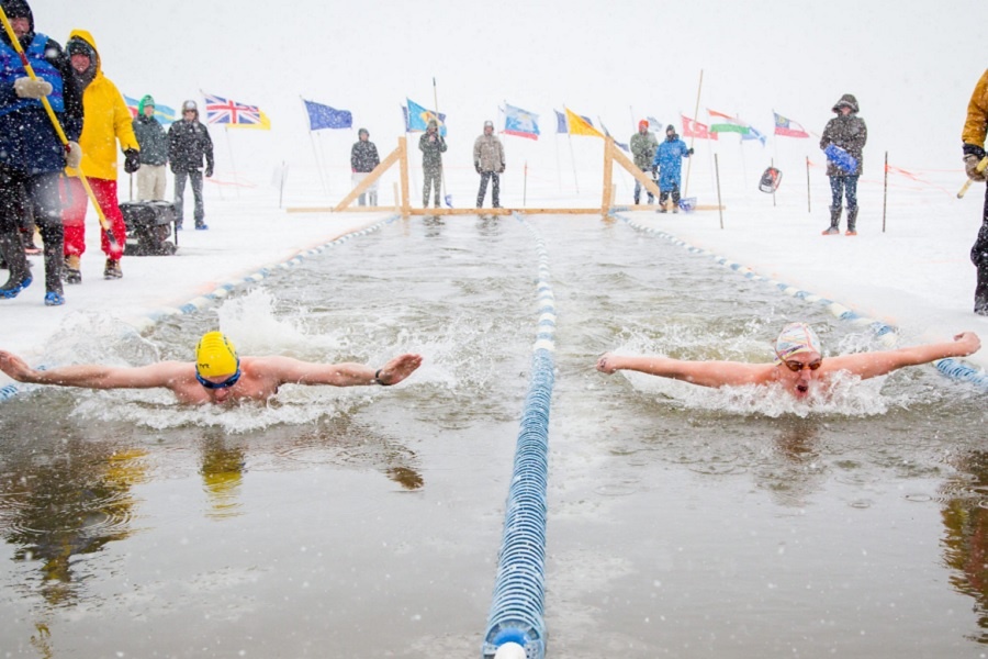 Международные соревнования по зимнему плаванию. Фотография из интернета