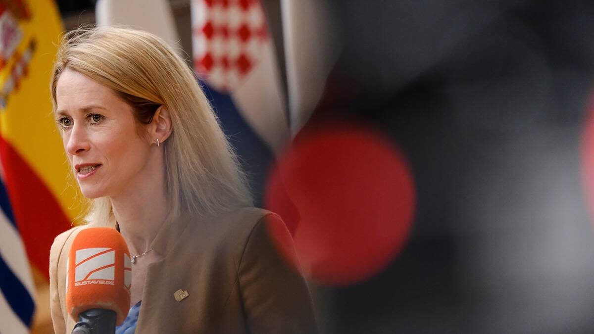    Фото: Shutterstock