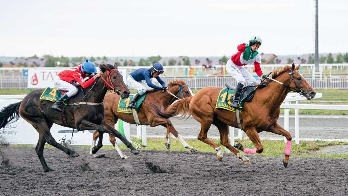 скачки на Казанском конноспортивном комплексе