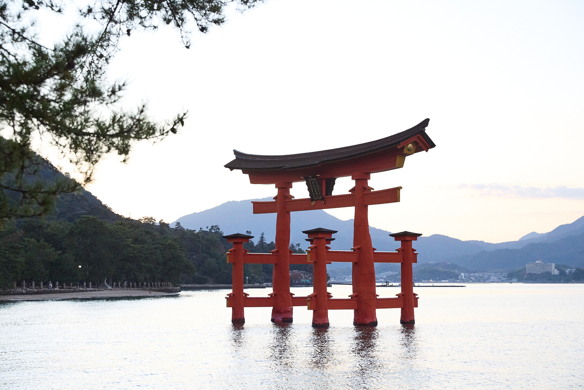 Фото: Вячеслав Воробьёв