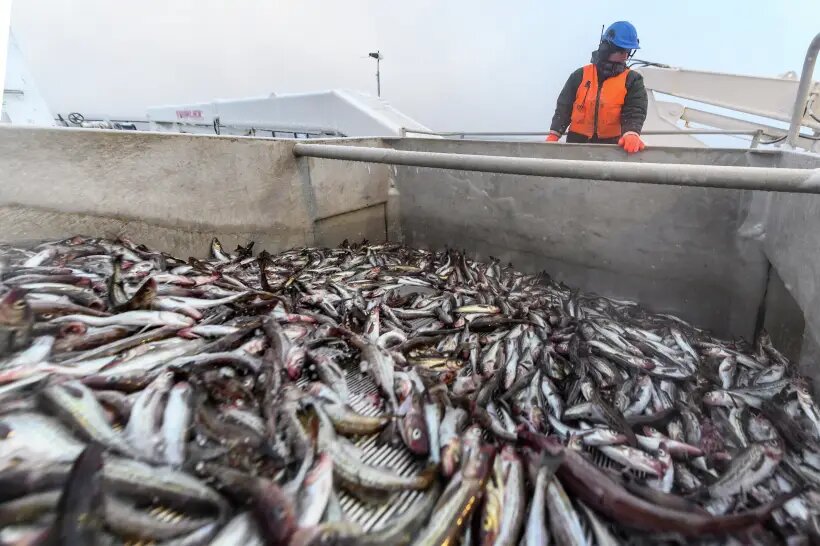     © РИА Новости. Сергей Красноухов