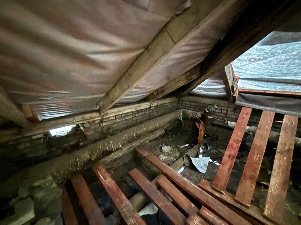    Фото: Глава Березников/ТГ Ульяна Бажанова