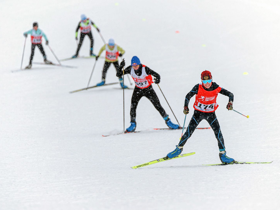    Фото: медиасток.рф