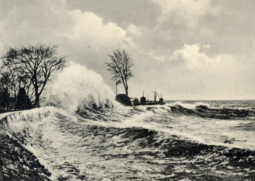 Фото Public Domain