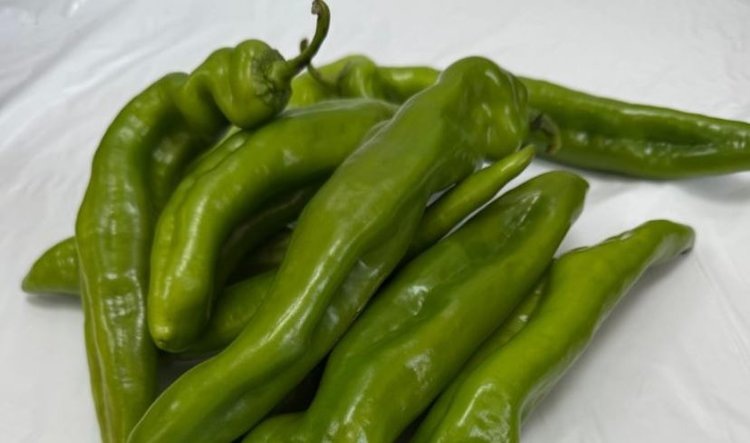    Фото: Россельхознадзор РФ