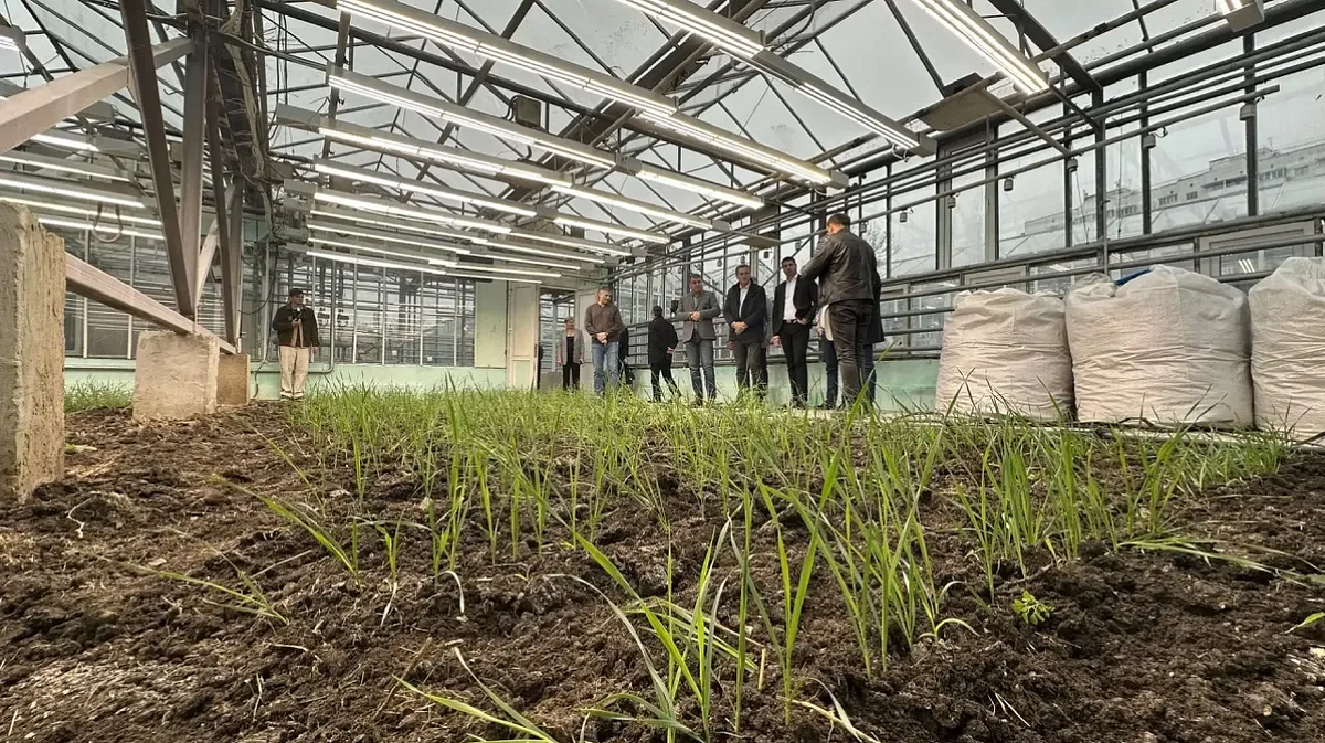 Фото: МТРК "Краснодар"