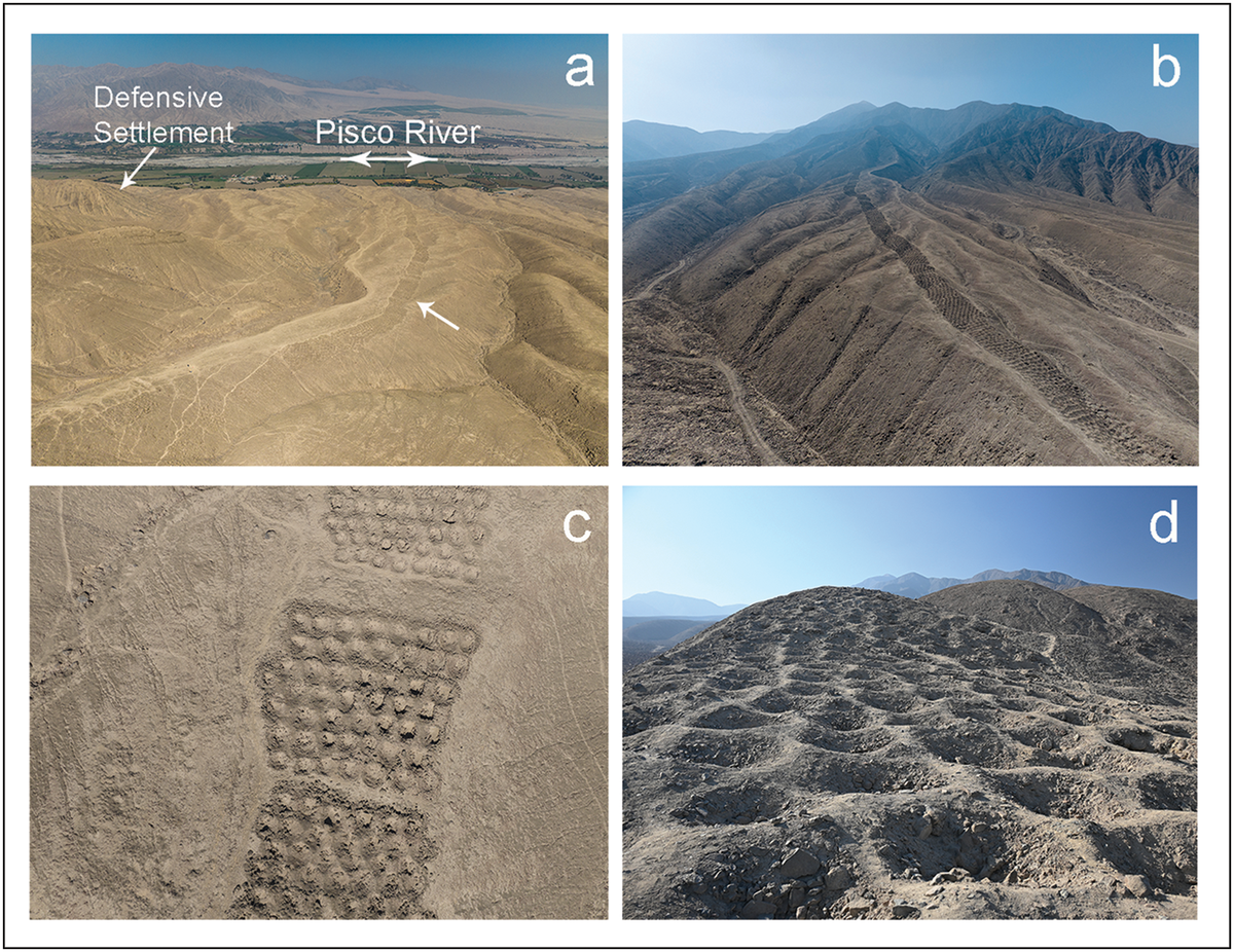   Jacob L. Bongers et al. / Antiquity, 2025