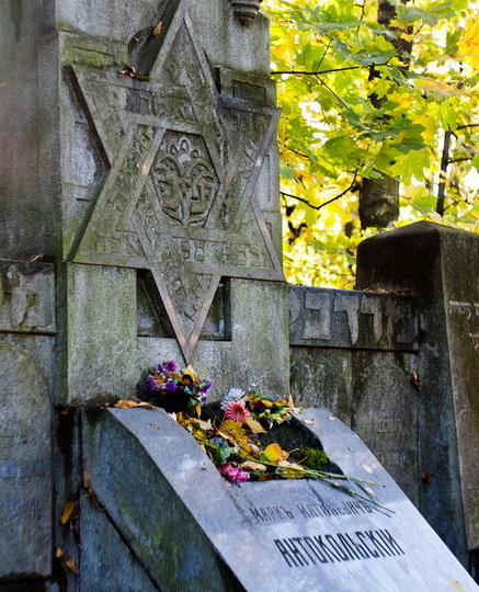 Камни против цветов