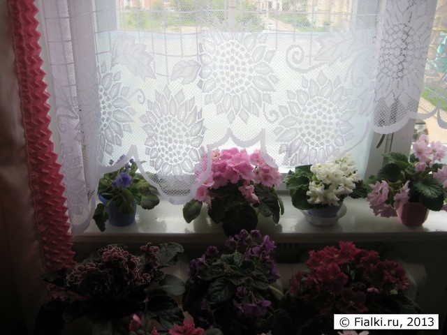 Фото интернет.