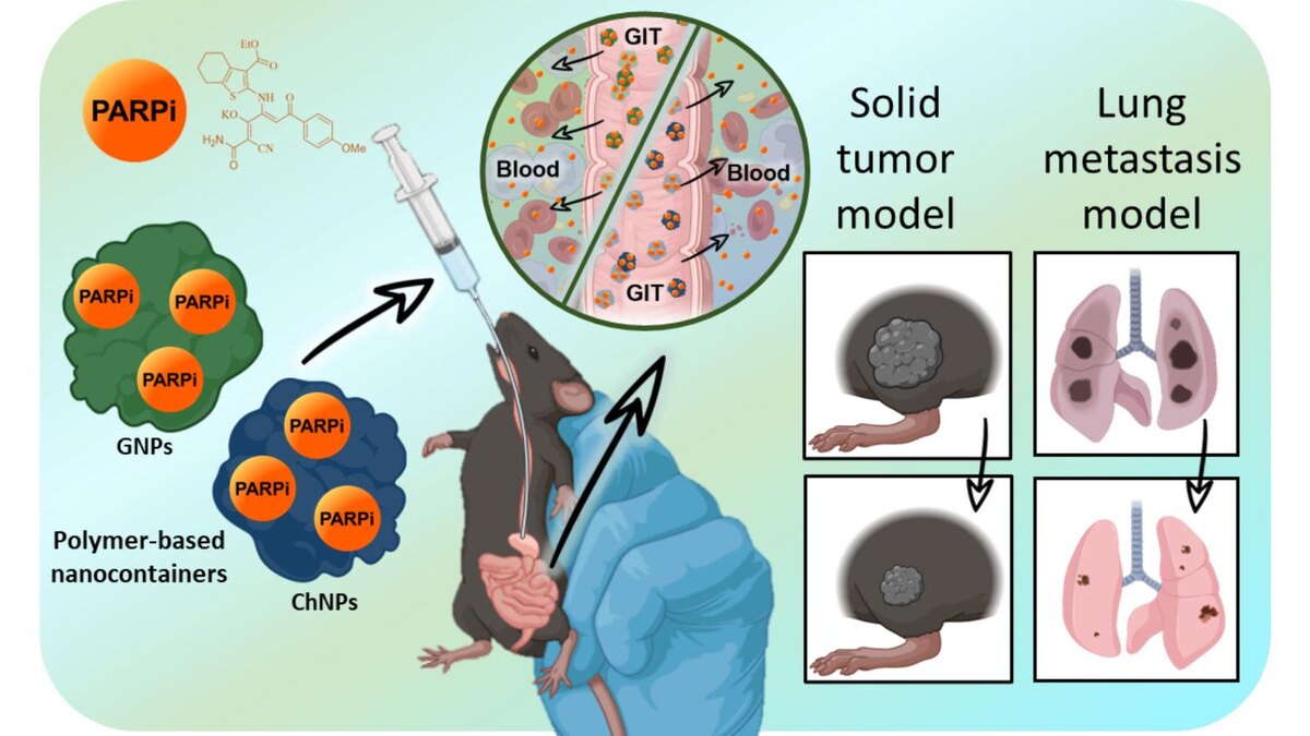    Фото: Управление по связям с общественностью СПбПУ