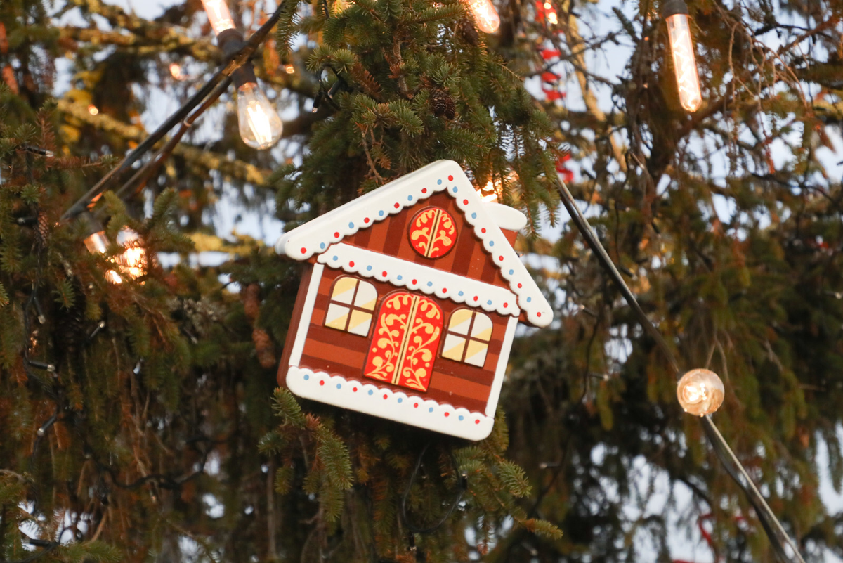 Фото: Александр Глуз / «Петербургский дневник»