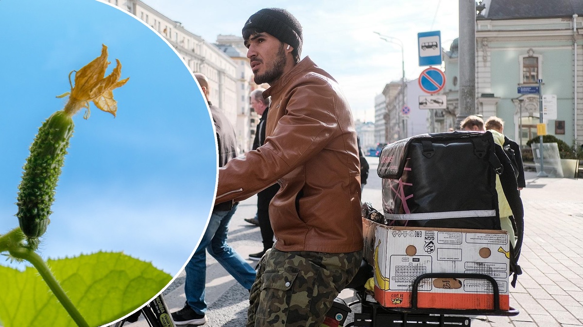 Фото: Фото: ИЗВЕСТИЯ/Сергей Лантюхов; pxhere.com