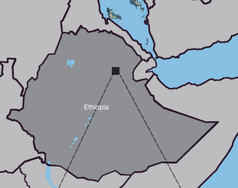   Yohannes Haile-Selassie et al. / Nature, 2025