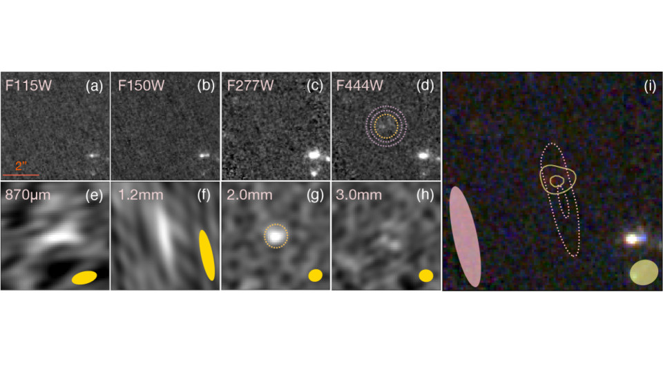   Longji Bing et al. / arXiv, 2025