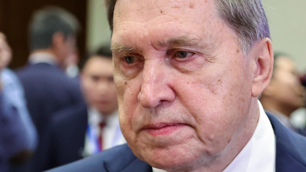    Фото: Roman Naumov/Globallookpress