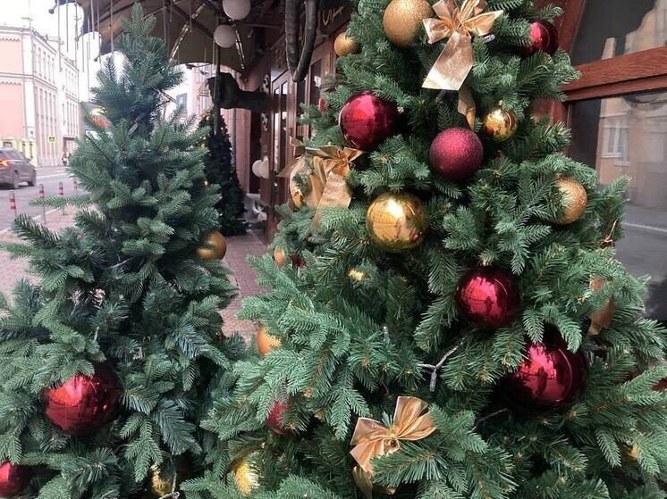     Аренда уже украшенной елки категории «стандарт» высотой 2,5 м обойдется в 55 тыс. рублей. Фото: архив МК в Питере.