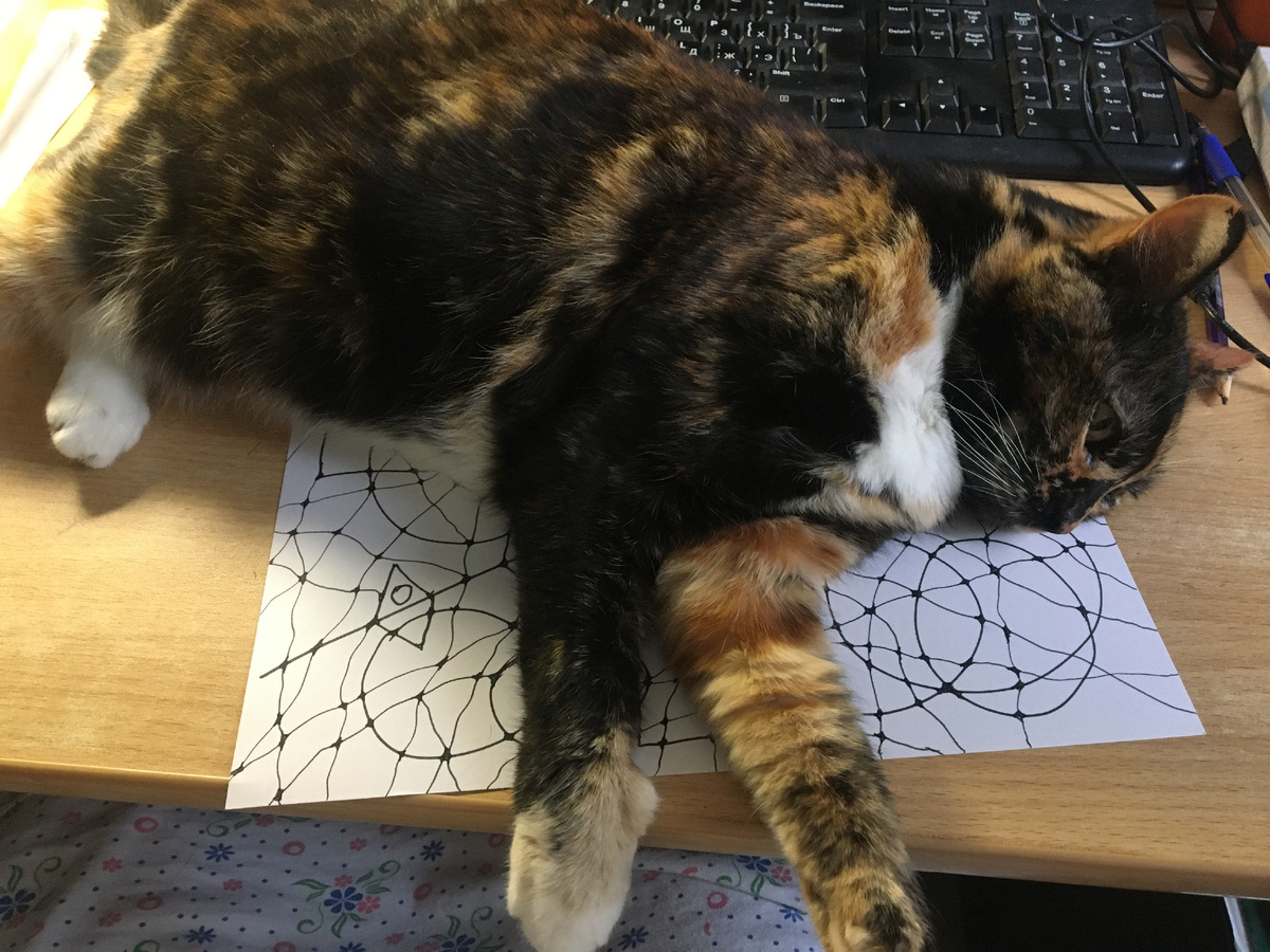 Не даёт рисовать! Фото автора