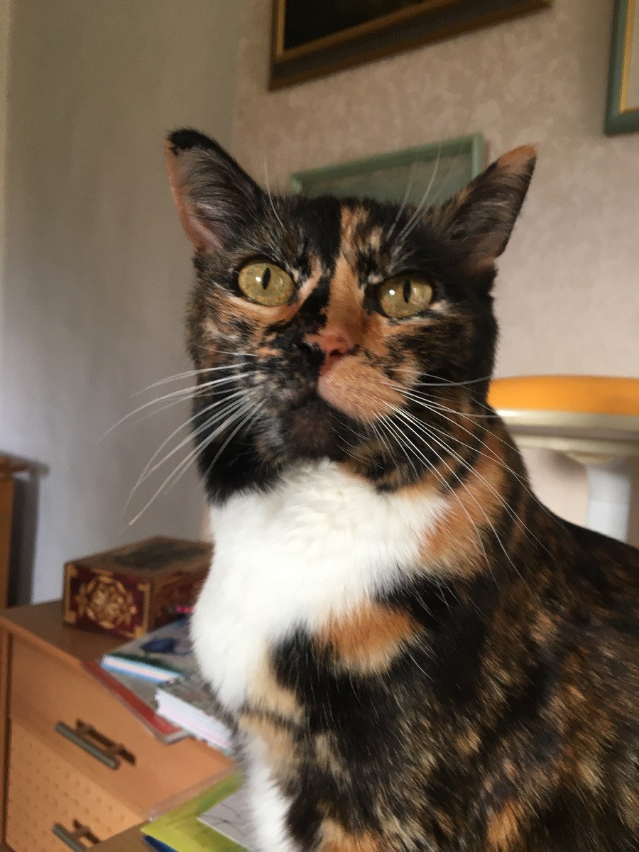 Моя красота. Фото автора