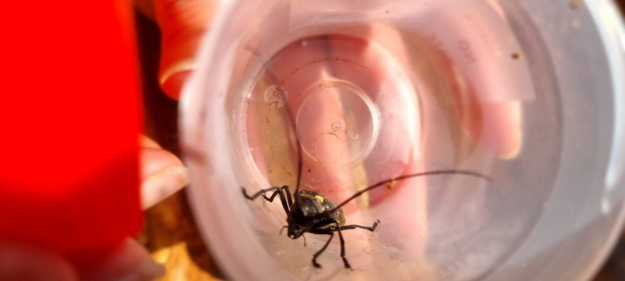    фото: © Североморское управление Россельхознадзора