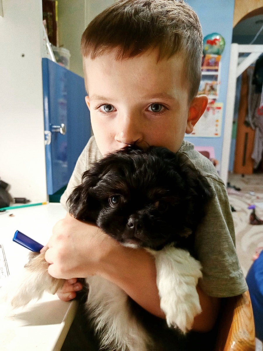 А Стëпе его маленький питомец Лëва помогает учиться в первом классе. 