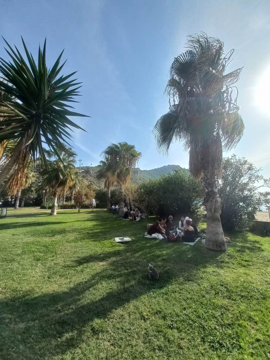 Хорошо вот так, в тени пальм посидеть в хорошей компании! 😊