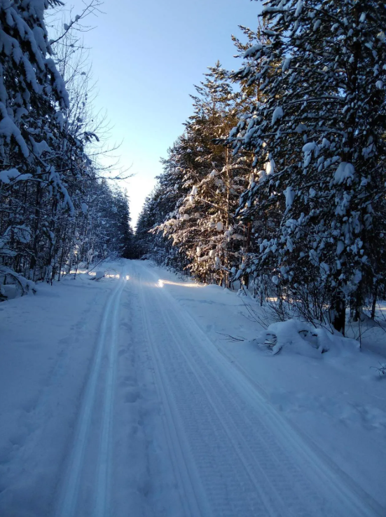 Республика Коми. Окрестности п. Боровой.