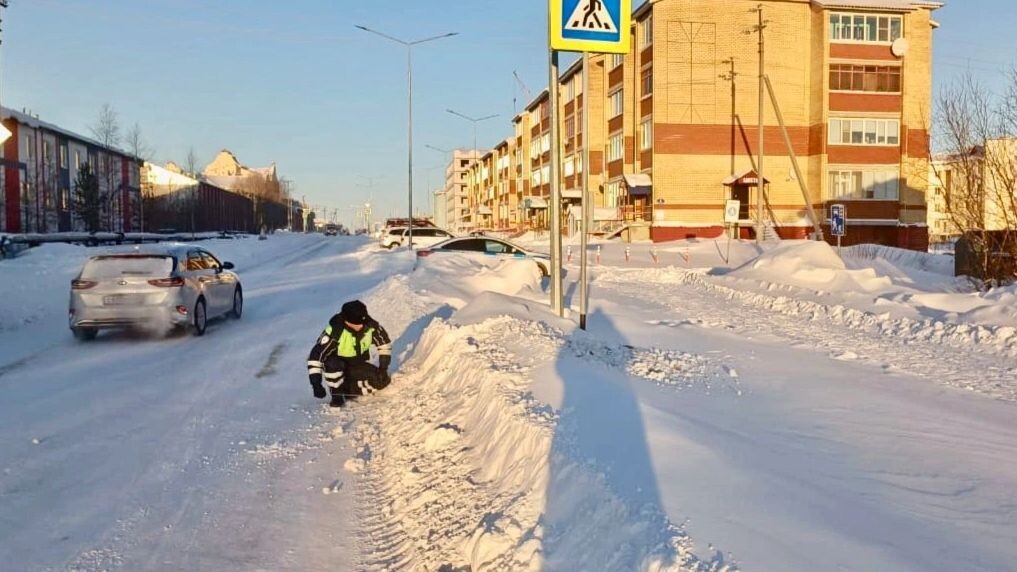    Фото: t.me/gibdd89