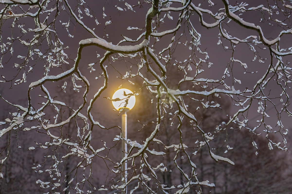    Сергей Михайленко