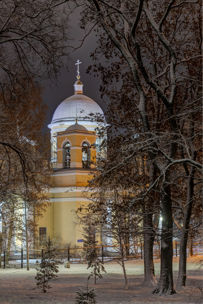    Сказочный Петрозаводск в снегу снял фотограф Сергей МихайленкоСергей Михайленко