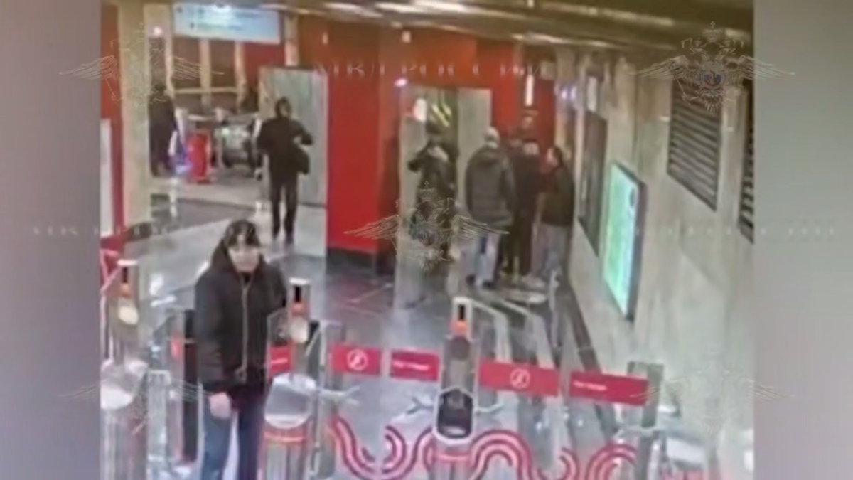    Фото: Скриншот видео / Ирина Волк / Telegram