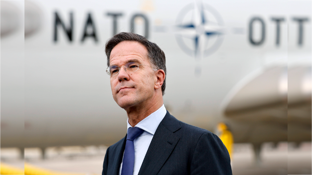 Фото: IMAGO/Christoph Hardt/globallookpress.com