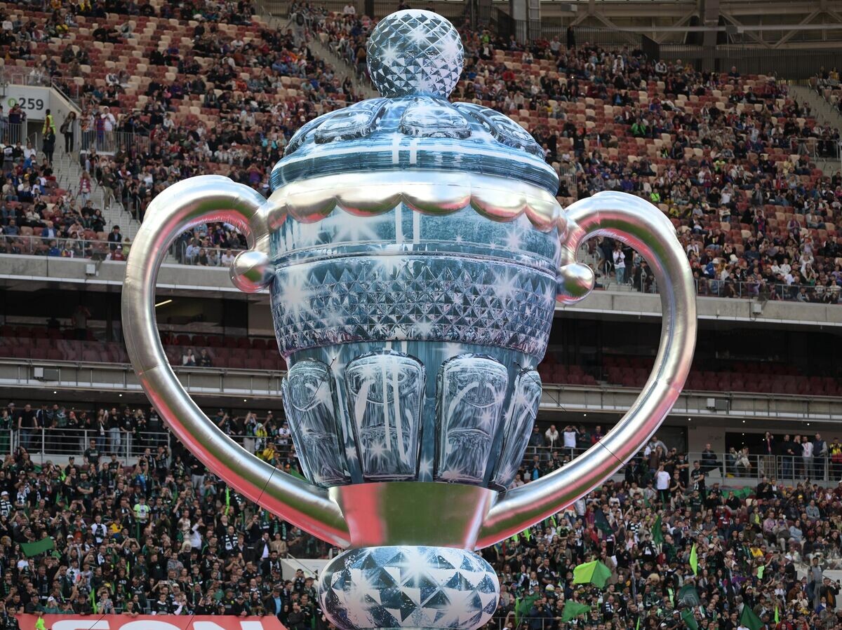    Кубок России© РИА Новости / Владимир Астапкович