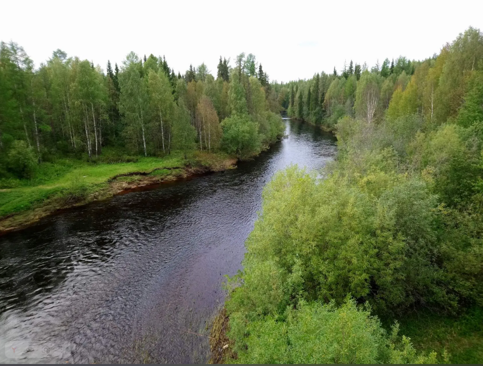 Республика Коми. Окрестности п. Боровой.